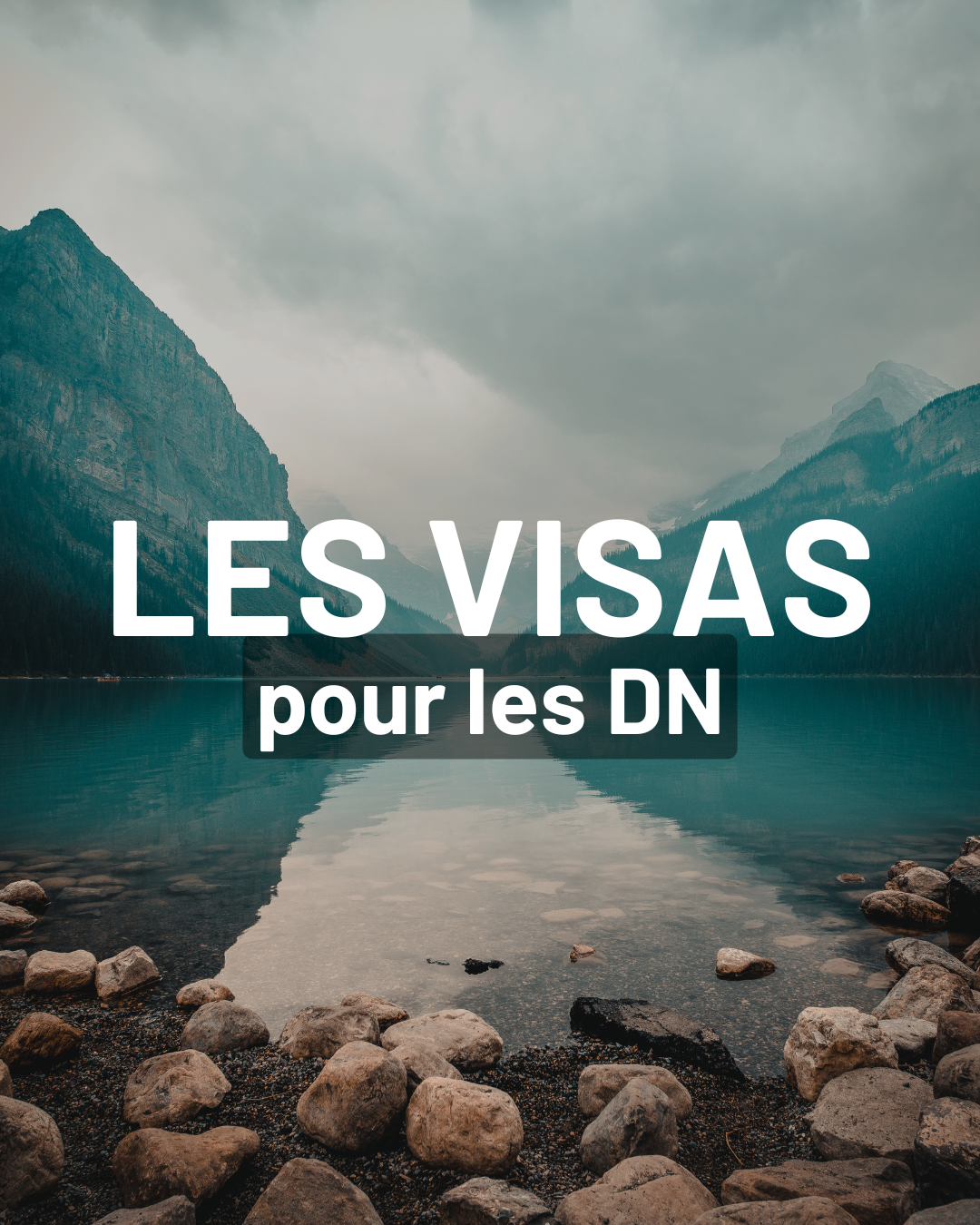 Digital Nomad, visa de travail, visa pour les digitale nomads, partir travailler à l'étranger